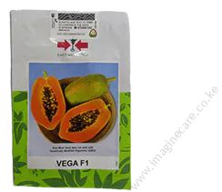 Vega F1 papaya 10 seeds