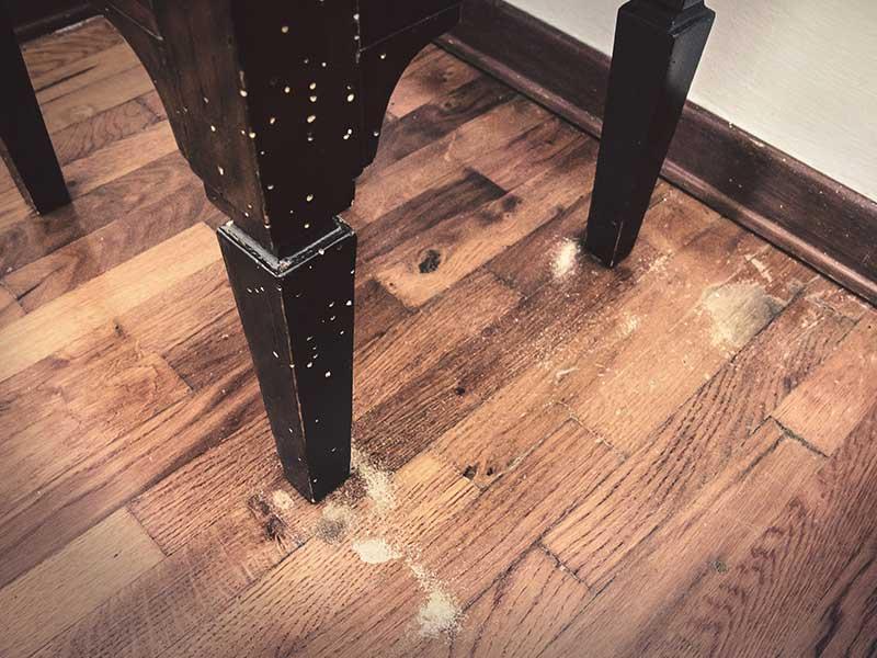 How to Get Rid of Wood Borers