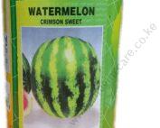Watermelon Crimson Sweet