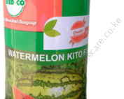 Kito F1 Watermelon