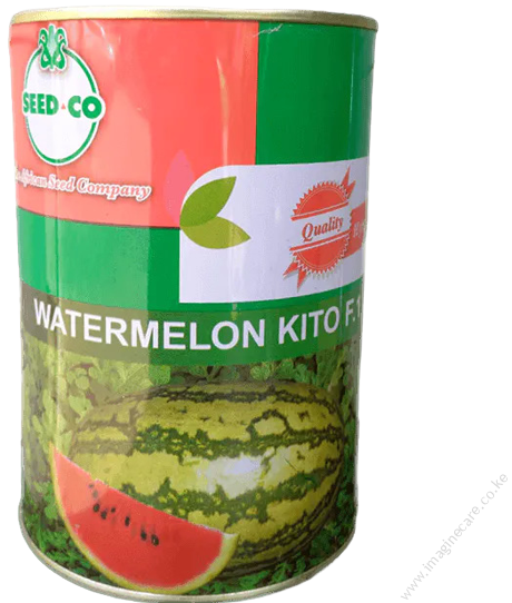 Kito F1 Watermelon