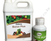 Zelena Boron Plus