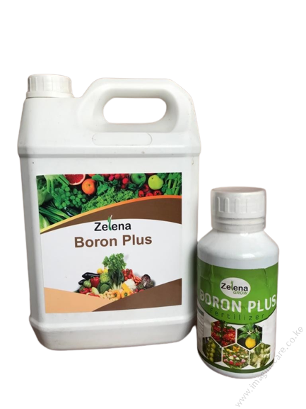 Zelena Boron Plus