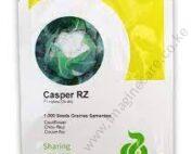 Cauliflower CASPER RZ