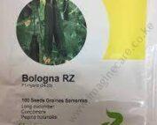 Cucumber BOLOGNA RZ