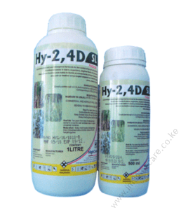 hy-2-1-258x300-1 (4)
