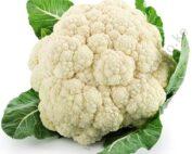 F1 Cauliflower Seedling