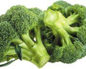 F1 Broccoli Seedling Per Seedling