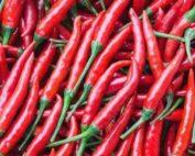 .bird eye chili
