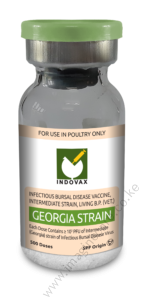 4.GEORGIA-STRAIN-143x300 (2)