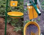 Solar Insect Trap
