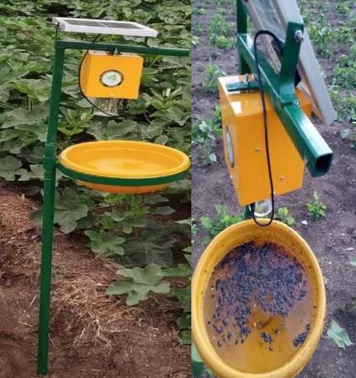 Solar Insect Trap