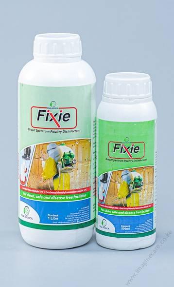 Fixie (4)