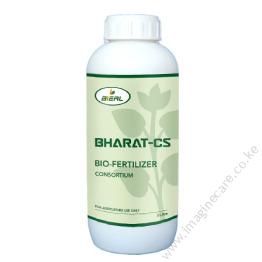 Bharat CS
