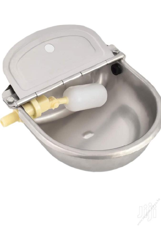 Stainless Cow Drinker