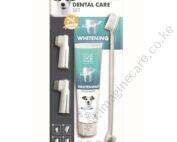 Dental Care Whitening Set