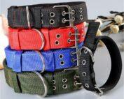 Dog Collars