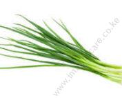 Onion- Leeks seedling Per seedlings