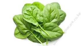 Spinach Baby Seedling Per Seedling