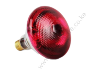 Brooding Infrared Bulb