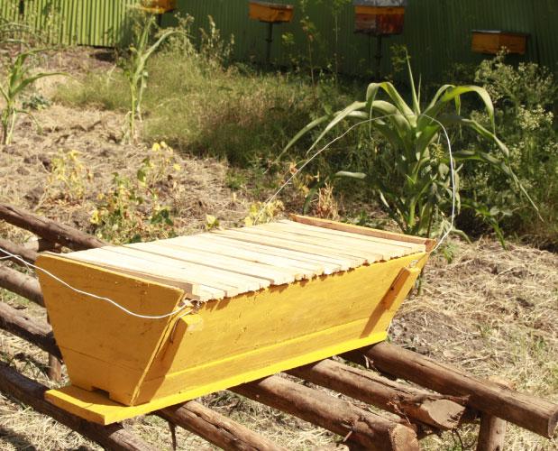 Kenya Top Bar Hive