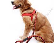 Rope Leash and Harness Set