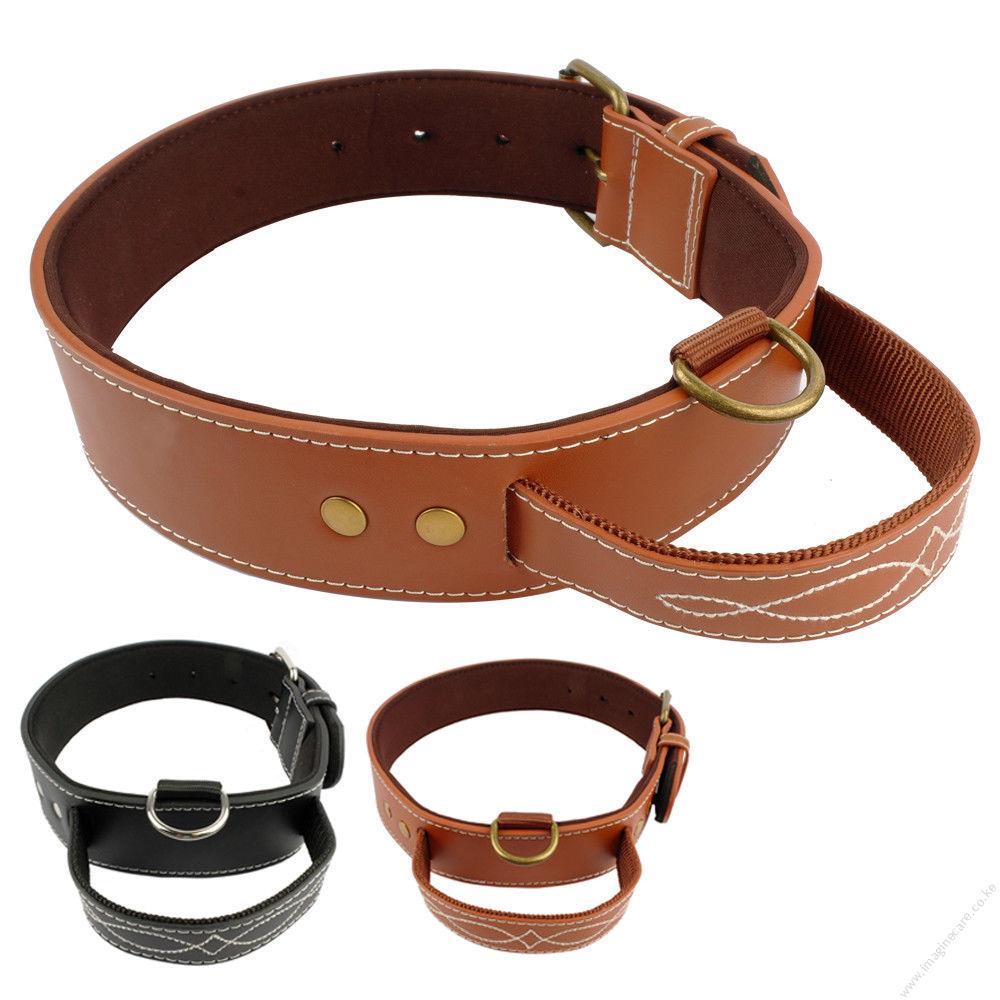 Quick Control Leather Dog Collar