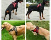 Saddle Dog Harness
