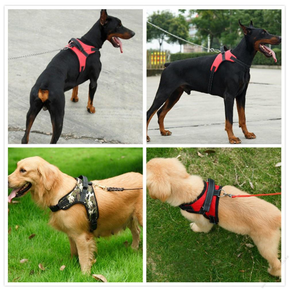 Saddle Dog Harness