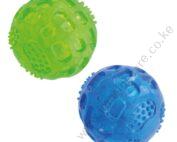 Squeky Ball Green/Blue