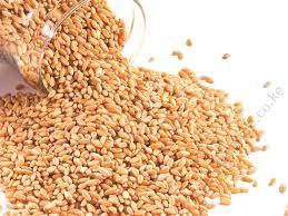 4FFHHwheat seeds