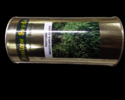 Bracharia Hybrid Grass