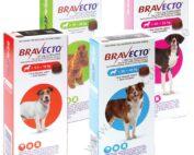 Bravecto Flea And Tick Treatment For Dogs