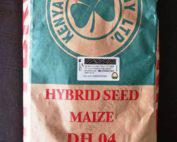 DH 04 Maize Hybrid Seed