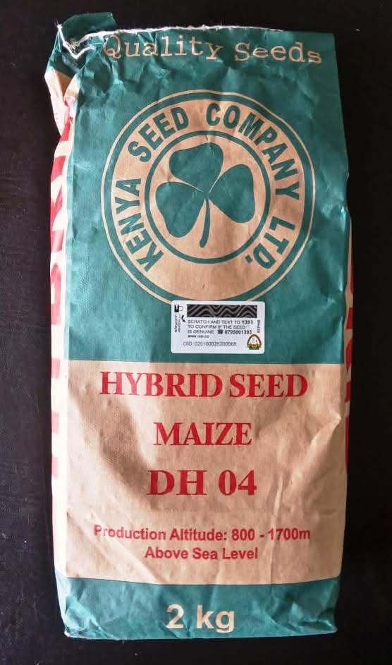 DH 04 Maize Hybrid Seed