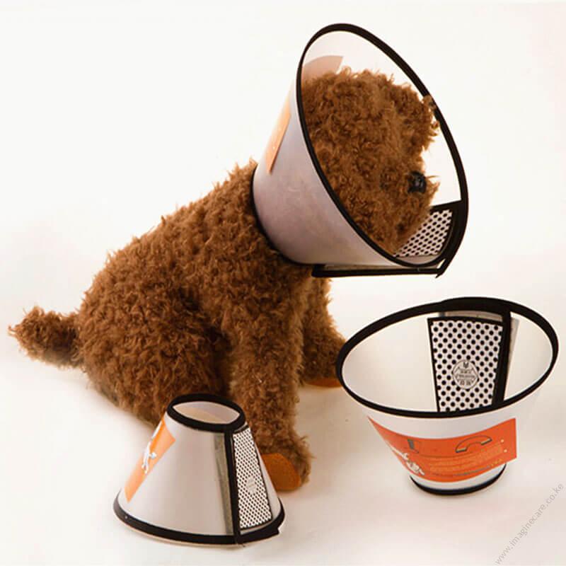 Elizabethan Collar