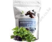 Endurance Mix 500g