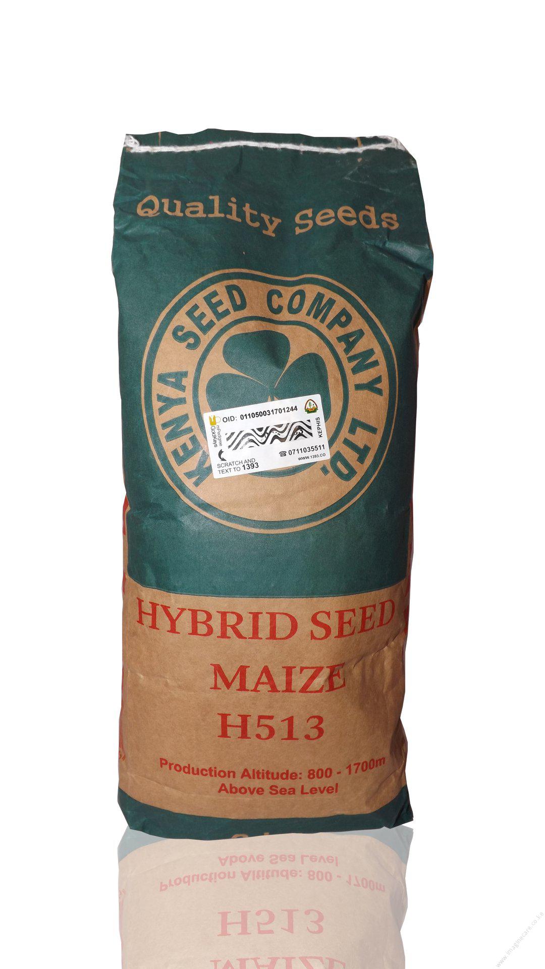 H 513 Maize Hybrid Seed 2kg