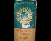 H 520 Maize Hybrid Seed