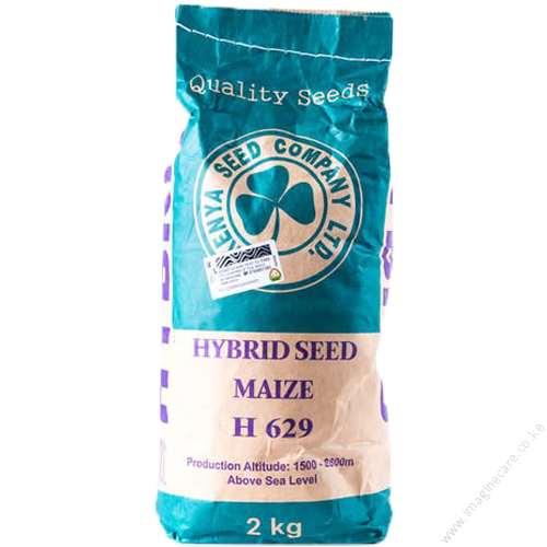 H 629 Maize Hybrid Seed 2kg