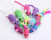 Interactive Cat Toy Set