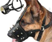 Padded Spiked Leather Dog Muzzle