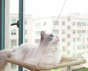 Window Mounted Cat Hammock Perch Bed 1pc