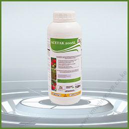 acetak-01 (2)