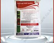 acetak top-01