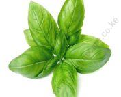 basil