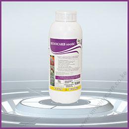 benocarb-01 (5)