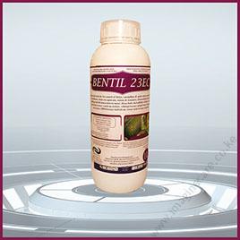 bentil-01 (2)