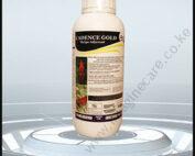 cadence gold-01 (2)