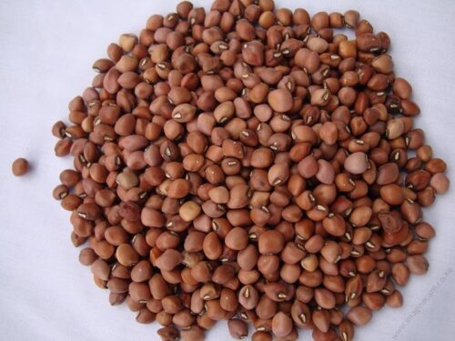 cuFRwCowPeas Ken Kunde (1)